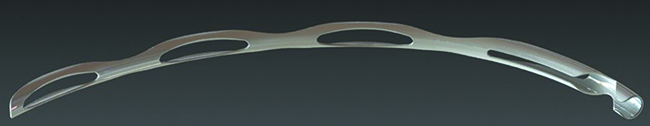 hydrus stent image