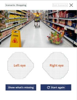 sample of glaucoma mobile phone app screen